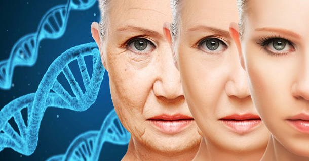 Alzheimer e envelhecimento